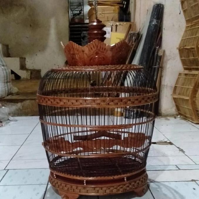 Sangkar Rotan Anyam Pernis, Tekukur