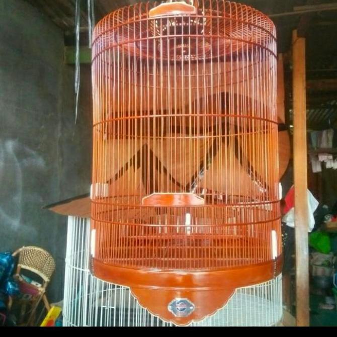 Sangkar Burung Murai Batu Reborn Merk Ebod Jaya,Terlaris
