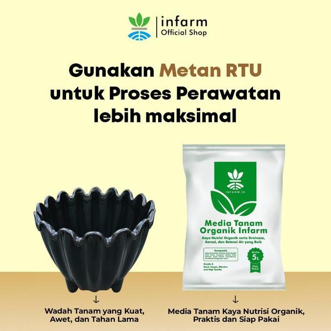 INFARM - Pot Tanaman Gelombang Cinta 06 Bahan Plastik Tebal dan Kuat Pot Tanaman Hias Bergelombang