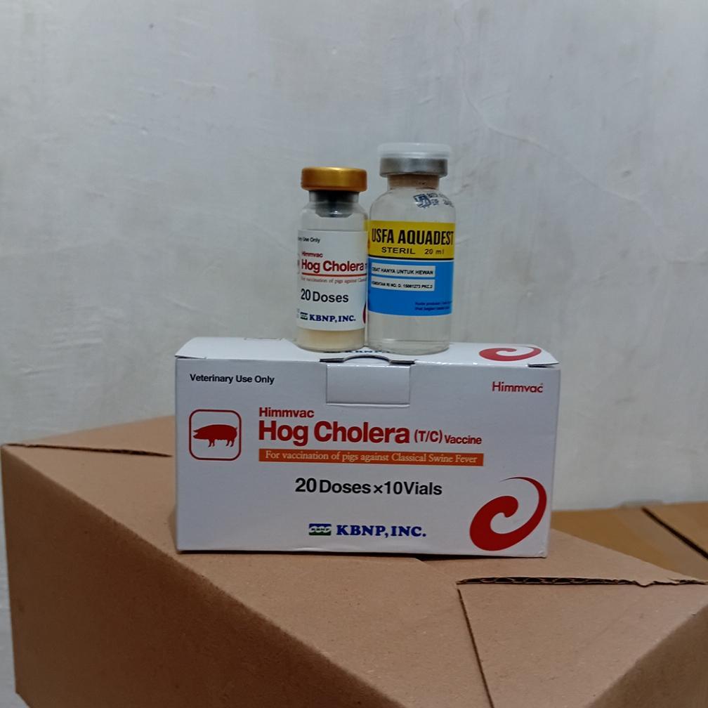 Stok Ready Vaksin Hog Cholera (Csf) - Untuk Dosis 20 Ekor.