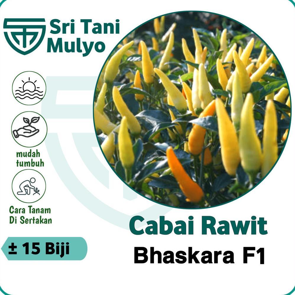 15 Biji - Benih Cabai Rawit Unggul BHASKARA F1 - Cap BISI - Bibit Sayuran Benih Sayuran Cabai Rawit 