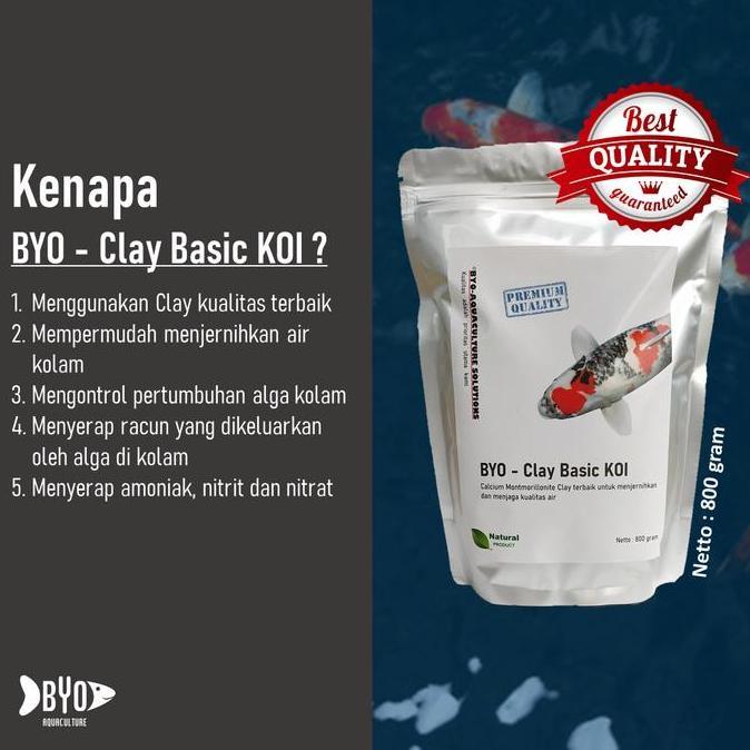 Clay Koi - Penjernih Kolam Koi / Clay Basic (Murni Clay)