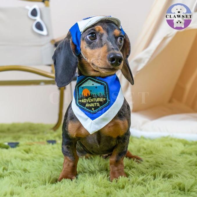 BJ Clawset - Pet Hat - Scout Collection (Topi Hewan Peliharaan) - Rescuer Navy
