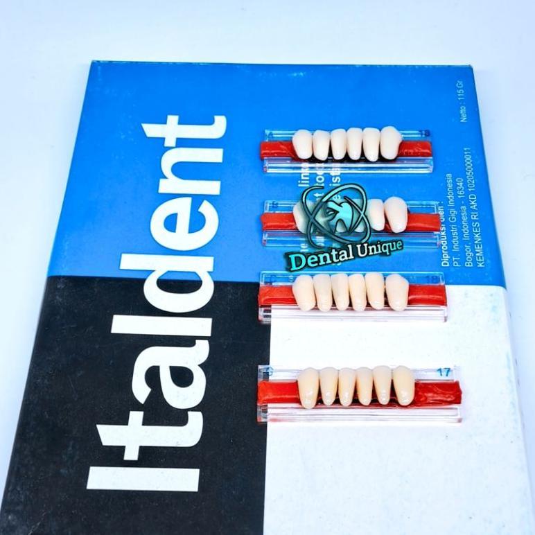 Gigi Palsu Italden Gigi Depan Bawah