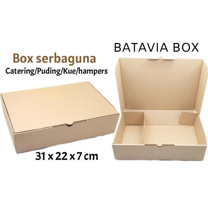 Box catering serbaguna 31x22x7 sekat dalam