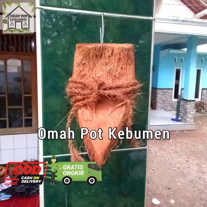 Readyyy Tepes Media Tempel Anggrek Sabut Kelapa / Media Tanam Sabut Kelapa