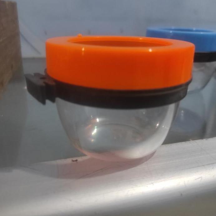 cepuk bulat tempat pakan dan minum burung lovebird kenari perkutut dll murah
