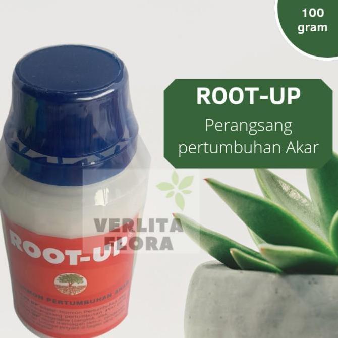ZPT / Pertumbuhan akar Root Up