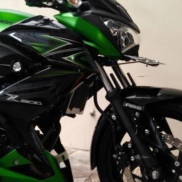 Decal Z250 / Sticker Z250 (Model Z300)