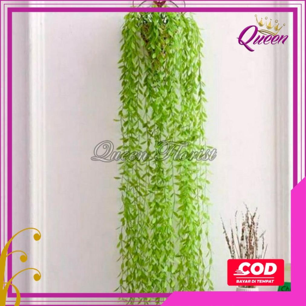 RECOMMENDED [COD] DAUN JUNTAI LIKANYU LEE KWAN YU HOYA COSTA PLASTIK ARTIFICIAL - TANAMAN GANTUNG HI