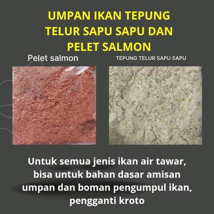 umpan ikan mas telur sapu sapu umpan gacor  mancing ikan segala jenis / bom pengumpul ikan pelet ika