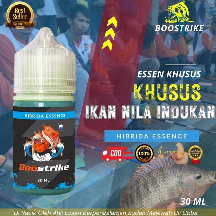 Essen umpan mancing ikan nila harain liar rawa media lumut dan cacing