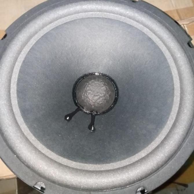 komponen speaker 10 inch kualitas bagus