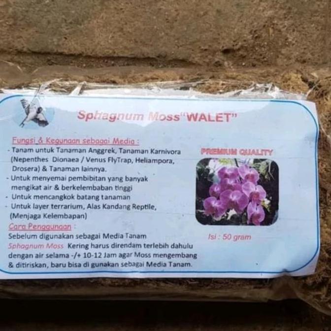 Media Tanaman Anggrek Sphagnum Moss "Wallet"