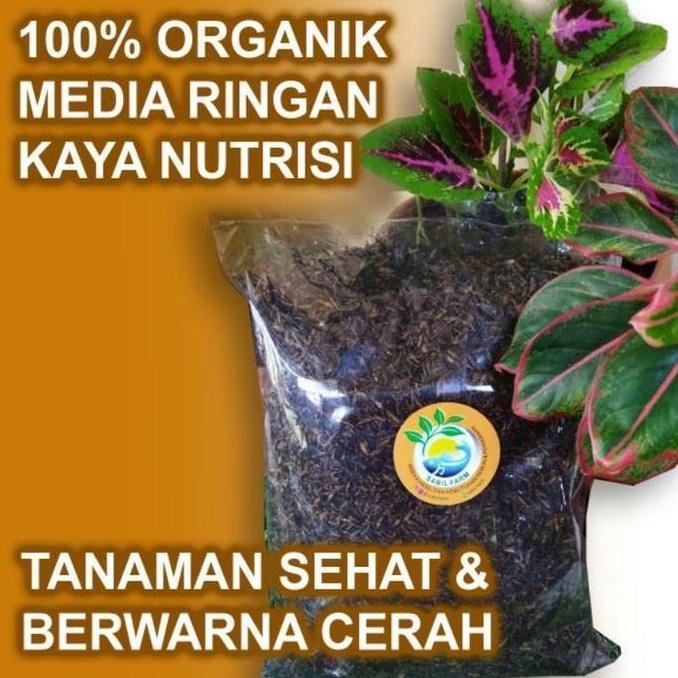 METAN POROUS Fermentasi SIAP PAKAI. Media tanam Aglonema Fermentasi