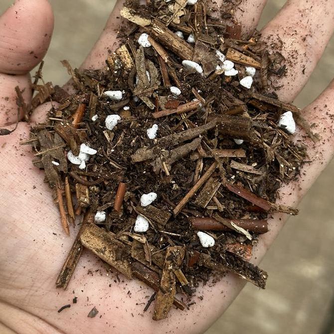 media tanam TS | Media tanam siap pakai