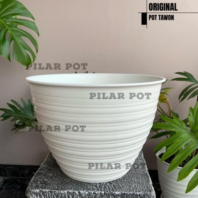 pot bunga tawon putih 30cm
