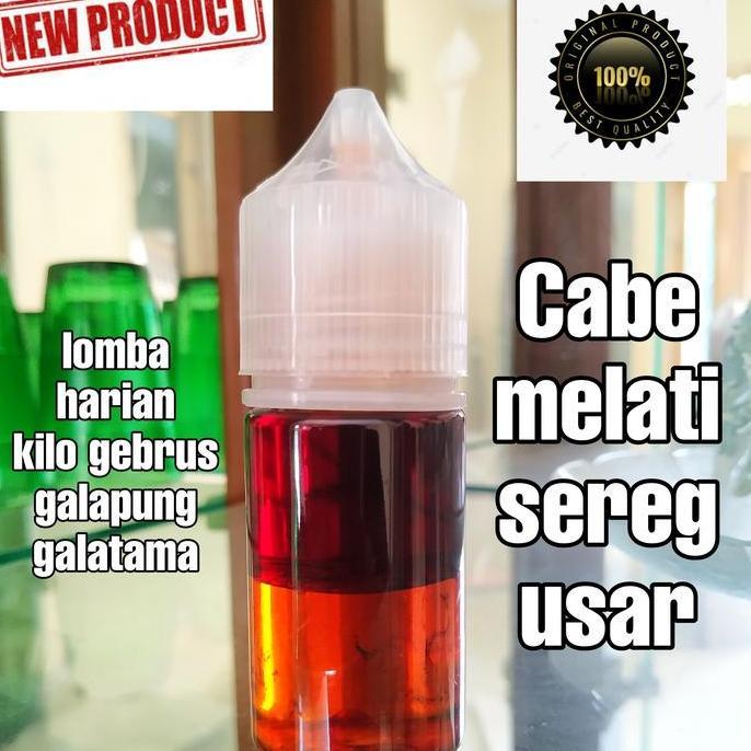 Essen oplosan cabe melati usar sereh