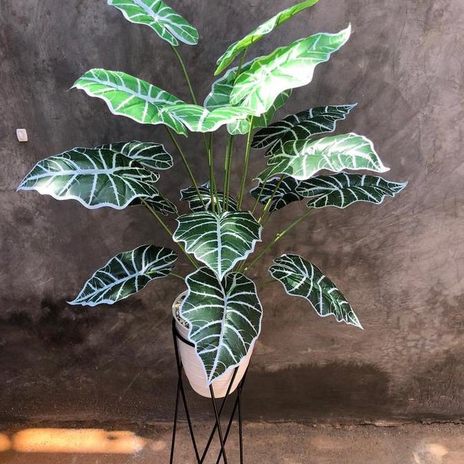 COD KELADI NEON ARTIFICIAL JUMBO Besi Latex Tanaman ICA