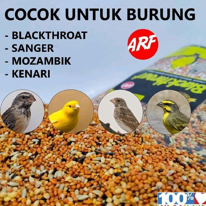 Fugl- Pakan Burung Blackthroat Sanger Mozambik Dengan Kandungan Protein Tinggi Untuk Harian & Ternak