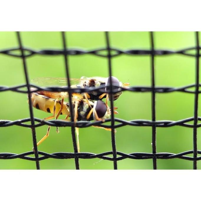 Lensbong Lensa Prosumer Macro Makro 25mm for HP Handphone