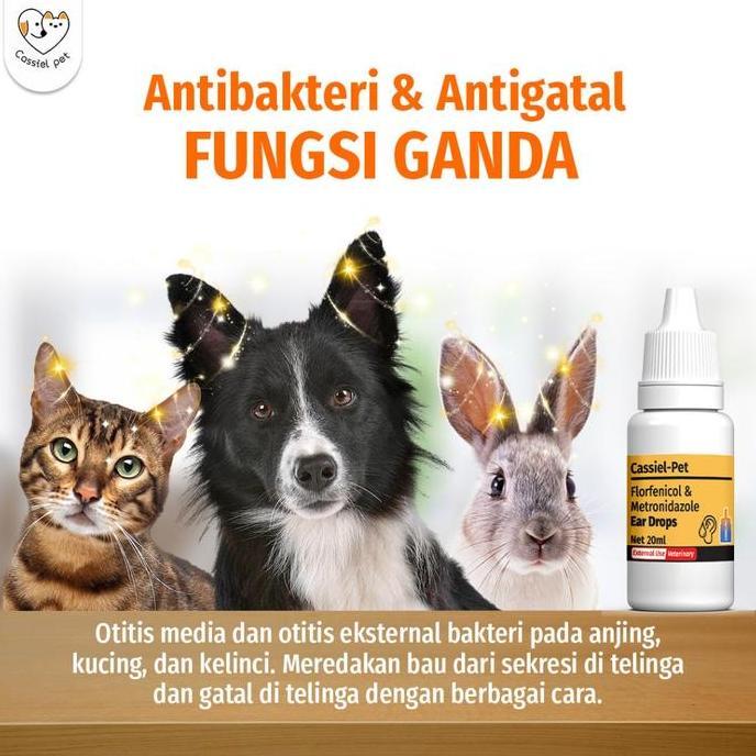 cassiel pet obat tetes telinga kucing anti peradangan saluran telinga anti earmites conge gatal dan 