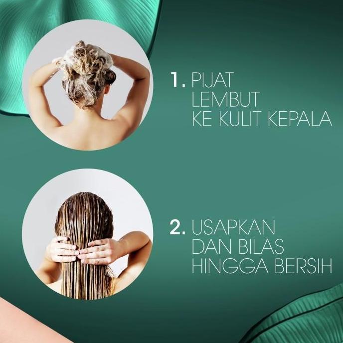 Head and Shoulder Sampo Anti Apek Perawatan Rambut 400ml