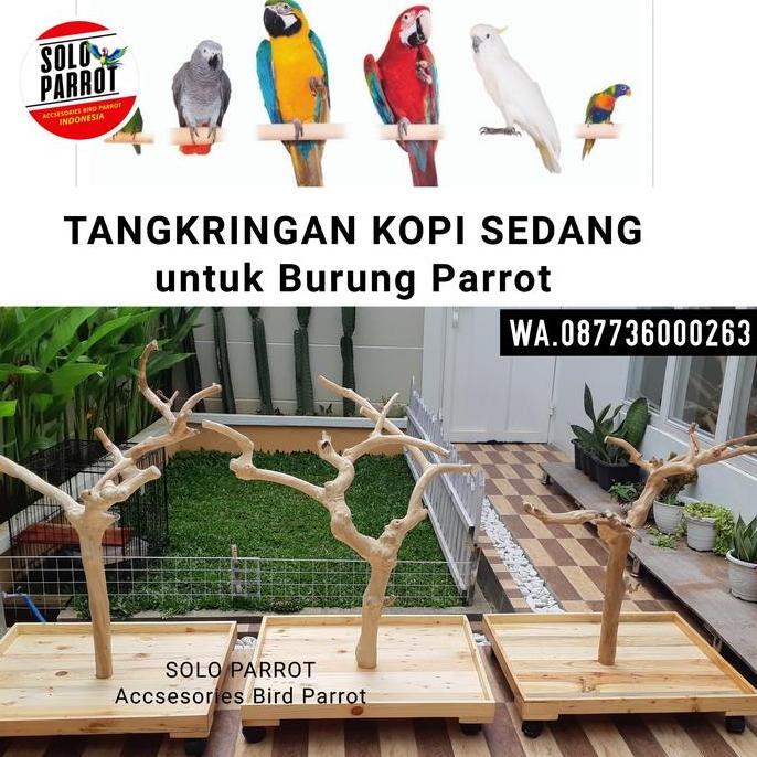NEW - Ranting Kayu Kopi buat Burung