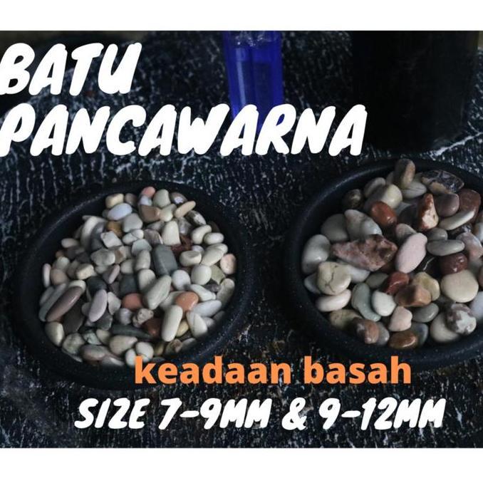 Batu Alam Hias Tanaman Pot || Pancawarna Karungan Via Cargo