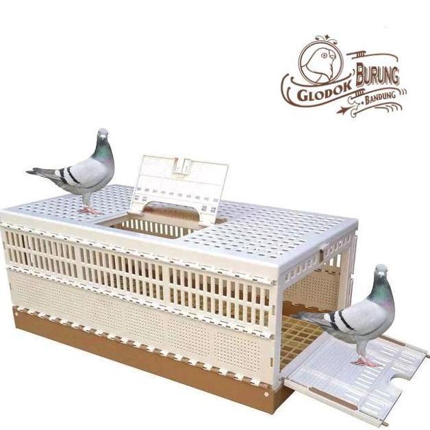 SUPER HEMAT - Dongdang merpati pos kurungan kotak bawa burung 3 pintu kandang lipat