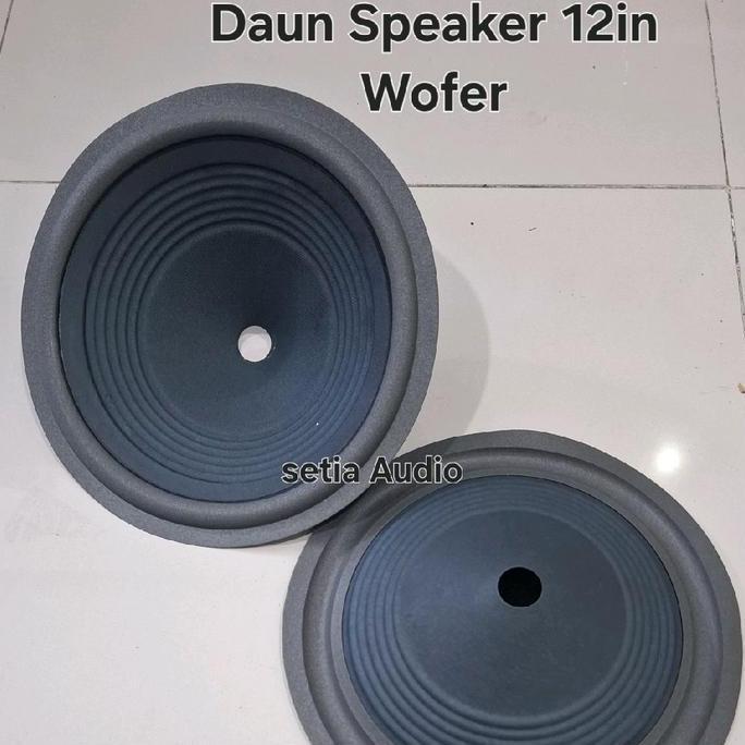 ZHAMBIRE DAUN SPEAKER 12IN WOFER SPIKER