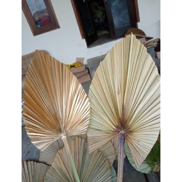 YANDIRUST PAKET LENGKAP MURAH BUNGA DAN POT DAUN PALEM KERING-SIKAS-CANTEL-BUNGA RUSTIC AESTHETIC-DE