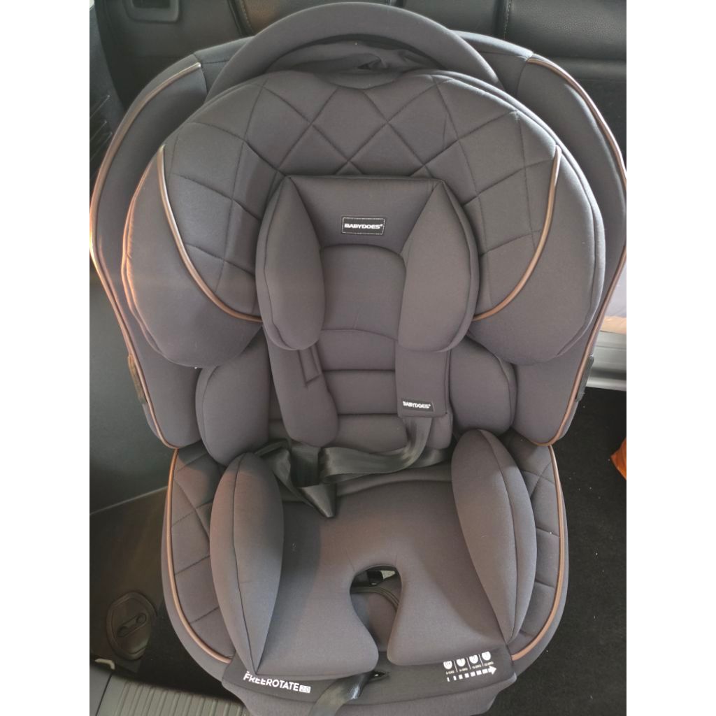 Car Seat Babydoes