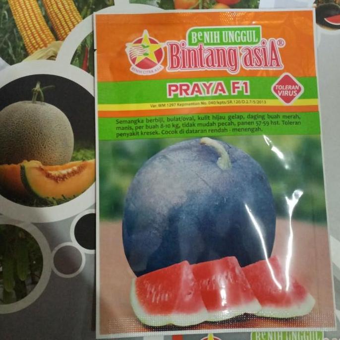 Benih semangka Praya F1 20gr