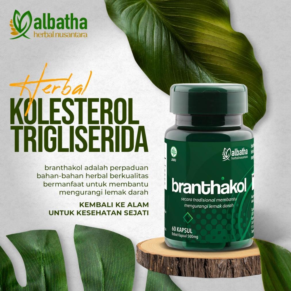 (Terbaru) Branthakol - Obat Kolesterol Herbal - Turunkan Kolesterol dan Trigliserida serta Kesehatan