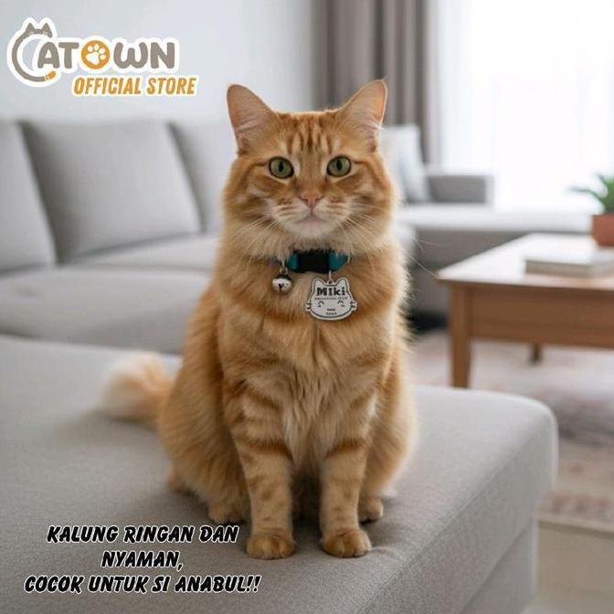 kalung kucing lucu custom kalung custom nama kalung anjing poodle bisa custom kastem nama alamat gra
