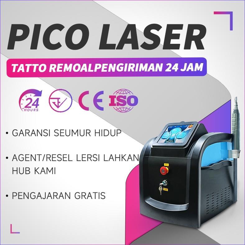 NEW Portabel laser pico Laser Pico Alat Clinic Kecantikan bopeng flek hitam wajah bibir hitam blackd