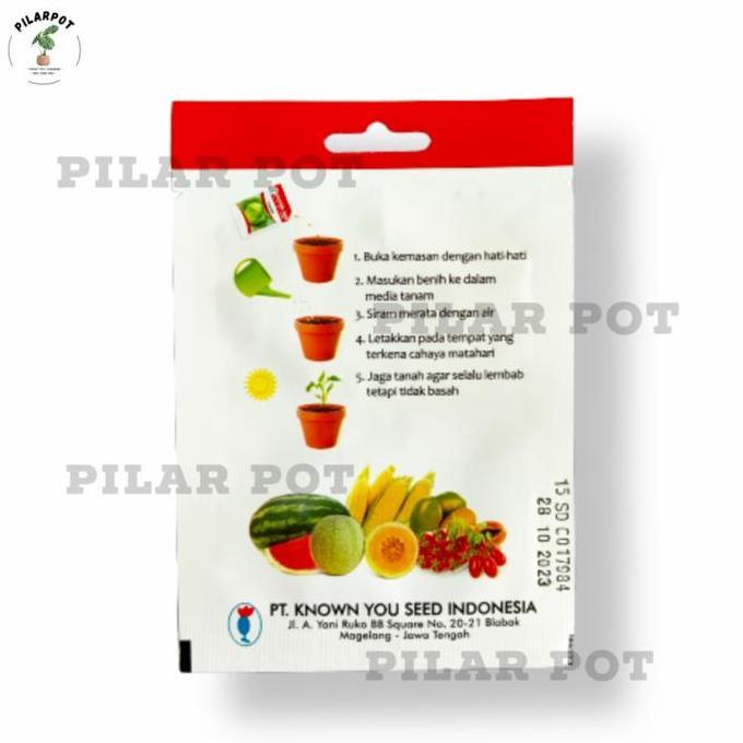 Benih Bibit Daun Bawang Fragrant Known You Seed - KYS DAUN BAWANG FRAGRANT