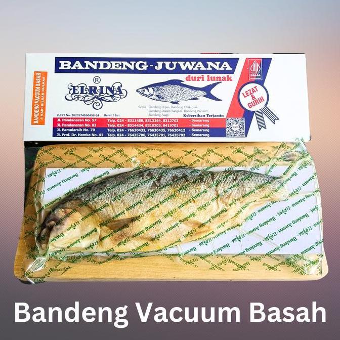 Bandeng Presto Juwana Elrina Vacum Basah Ukuran Sedang