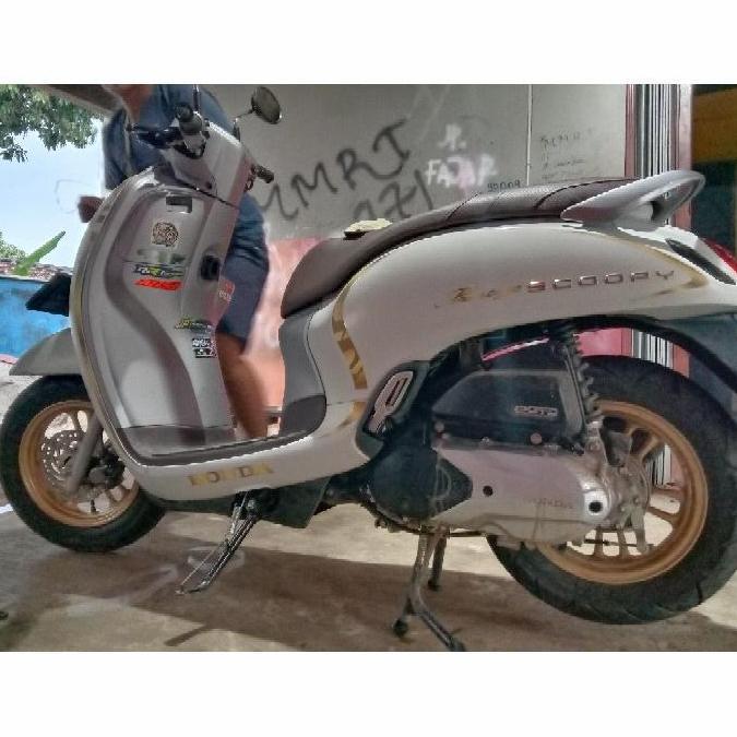 Striping Transparan Scoopy Striping Transparan Scoopy Prestige Gold 2021 List