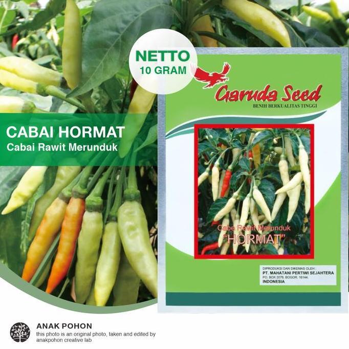 (1 PACK) Benih Cabai Rawit Merunduk HORMAT Cabe Rawit Setan Pedas F1