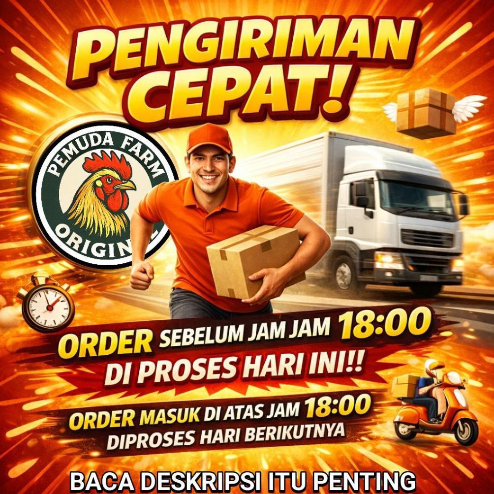 hot sale lampu pijar untuk ayam pioline 5 watt ps-55 super hyper