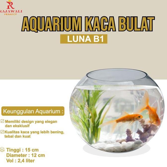AQUARIUM Bulat Kaca Luna B-1 2.4 Liter / Wadah Ikan CUPANG