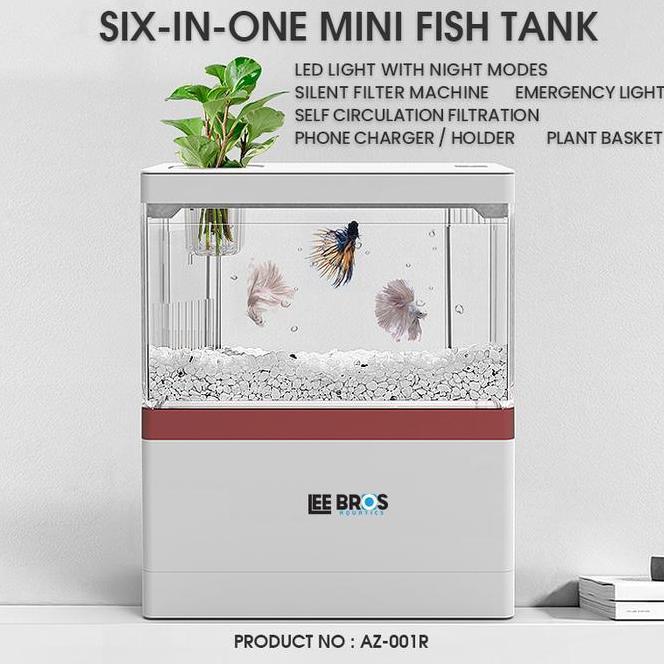 Aquarium Cupang Dengan Aquarium Cupang