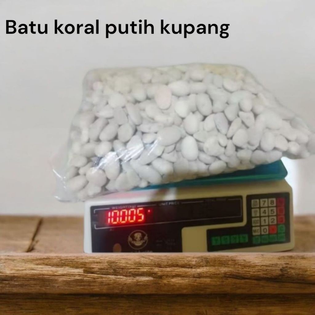 10Kg Batu Koral Putih/Batu Kupang 10Kg/Batu Putih Koral/Batu Taman/Batu Pot Bunga