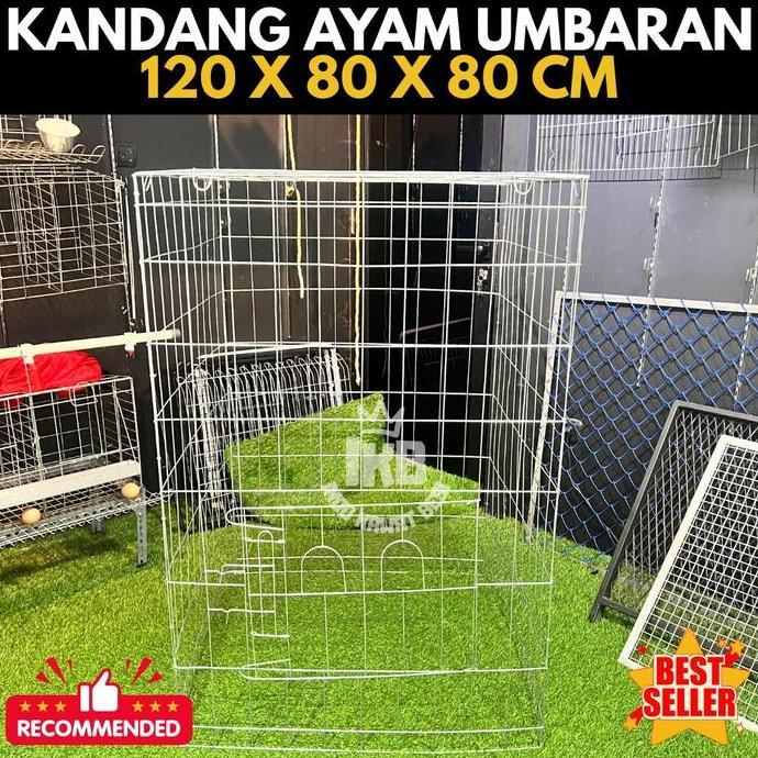 Kandang Ayam Umbaran Galvanis 120 x 80 x 80 cm | Best Seller