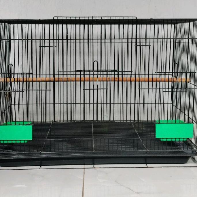 Ready Sangkar Kandang Umbaran burung  Size Large L 60x40cm Ekonomis Fullset Free 2 Cepuk Plus Tataka