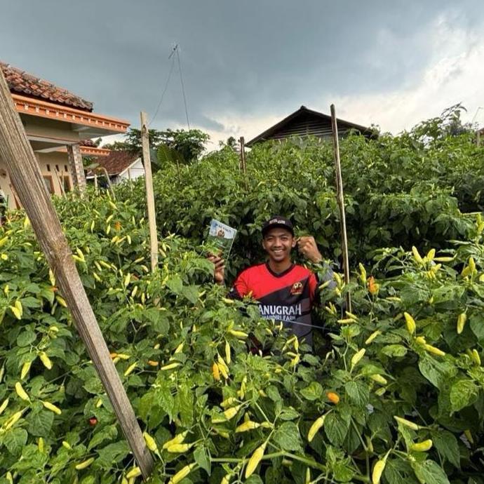 BUKU SAKTI SENIMAN PERTANIAN - Panduan Lengkap Budidaya Cabe Segala Varietas - Belum Ada Selengkap I