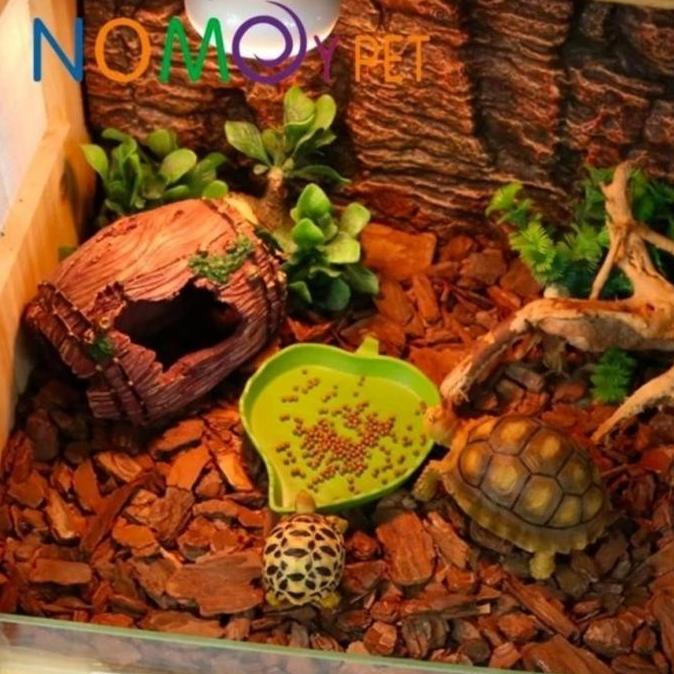 Feeding dish reptil tempat makan kura kura darat sulcata sulkata torto murah