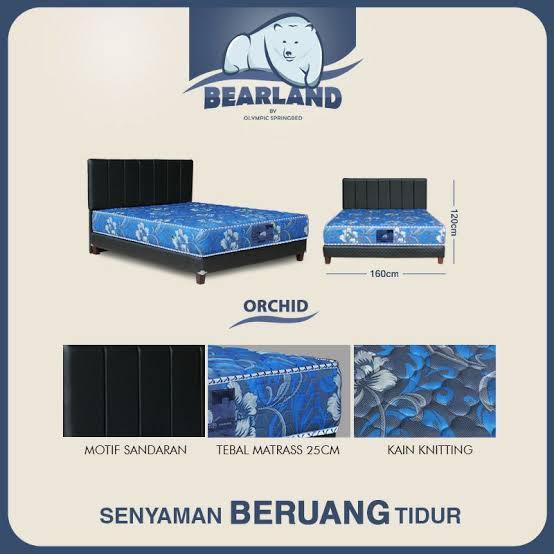 OLYMPIC BEARLAND SPRINGBED ORCHID SET DIVAN+HB UK 160X200